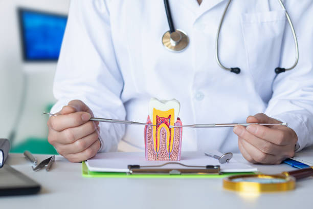 Best Broken or Chipped Tooth Repair in Macon, MS